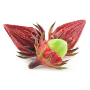 Flor de Jamaica (Hibisco)