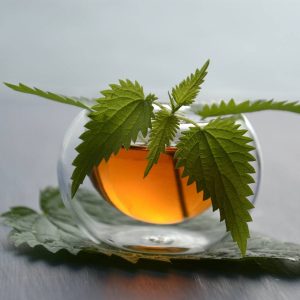 Ortiga Verde