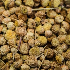 Manzanilla Amarga (Bolsa)