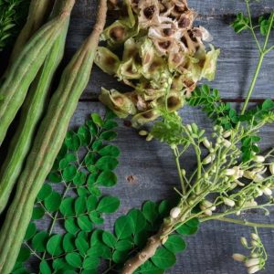 Moringa